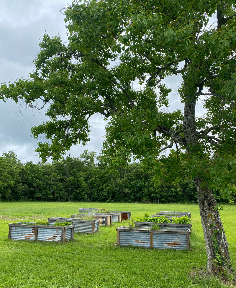 A PLANTZ LIFE FARM LLC